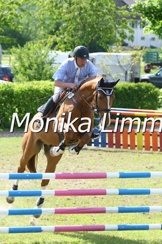 204M4249_Lucky Luke_Springpferde_L.JPG